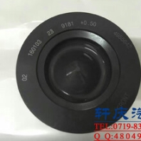 東風(fēng)康明斯ISDE發(fā)動(dòng)機(jī)活塞組件4955624