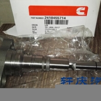 廠家直銷油泵油嘴柱塞2418、455714