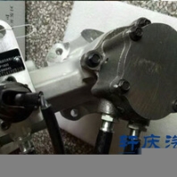 東風康明斯ISLE9.5發(fā)動機燃油泵4306945