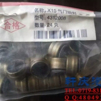 康明斯ISX15發(fā)動(dòng)機(jī)氣門油封4312008
