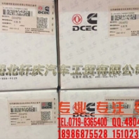 東風(fēng)康明斯6L發(fā)動(dòng)機(jī)水泵C5318753