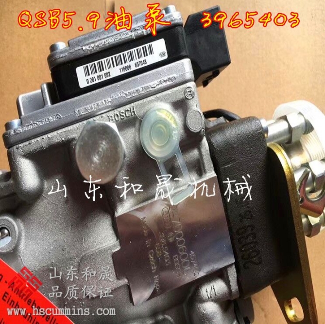 凱斯康明斯燃油泵3937690；QSB5.9燃油泵VP44