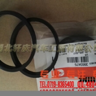 東風(fēng)康明斯6BT發(fā)動(dòng)機(jī)矩形密封圈3903475