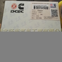 批發(fā)銷售東風(fēng)康明斯6CT發(fā)動(dòng)機(jī)水泵4089647