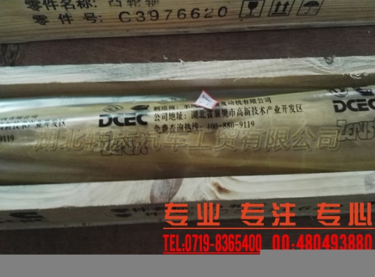 康明斯發(fā)動機6L系列凸輪軸3976620