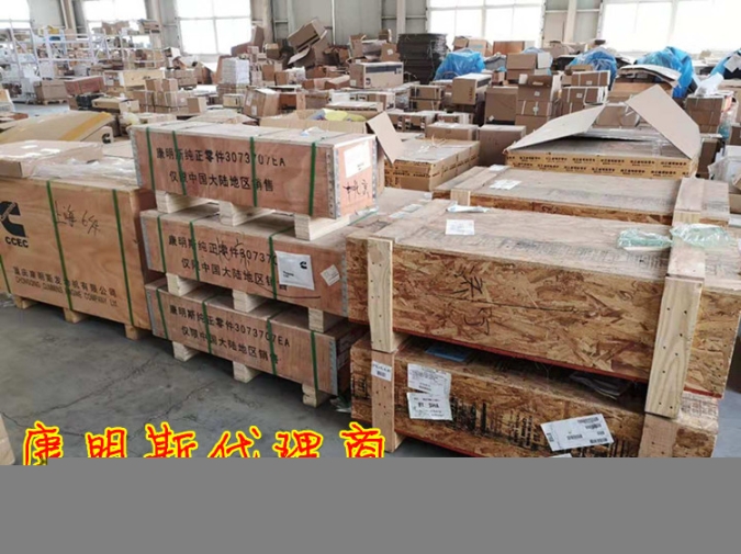 重慶3046281-20重油噴油器（康明斯NT855）油泵廠現(xiàn)貨