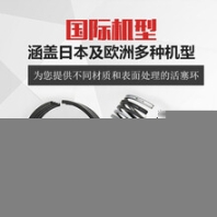長(zhǎng)沙MAN柴油機(jī)活塞環(huán)原裝現(xiàn)貨