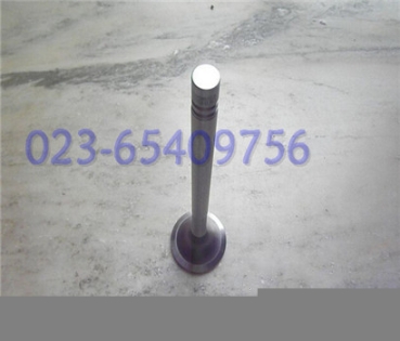 康明斯進(jìn)氣門排氣門船舶主機(jī)重慶康明斯柴油機(jī)氣門