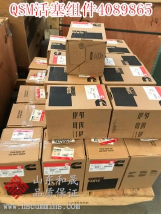 QSNT-G3隨動件殼3055280{凸輪軸隨動件殼3070499