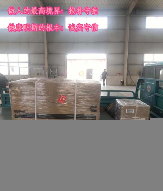 QSNT-G3減震器3101655{重康4987064]價(jià)格廠家