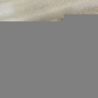 大運(yùn)奔馳發(fā)動(dòng)機(jī)皮帶張緊輪
