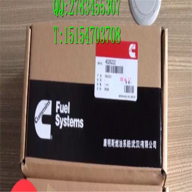 大金龍客車(chē)西康發(fā)動(dòng)機(jī)ISM噴油器噴嘴4026222油嘴子特價(jià)6支