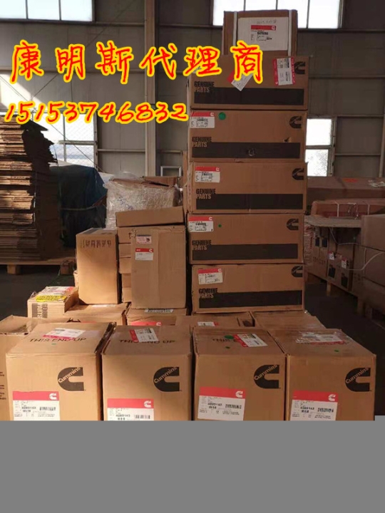 康明斯3609962油嘴油泵新到貨100只