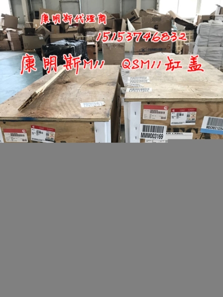 撫挖康明斯QSL9四配套{美康正品}4089963活塞組件帶環(huán)