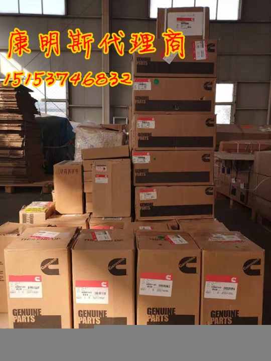 機(jī)組常換油嘴：KTA38-G5噴油器3076703CCEC包裝
