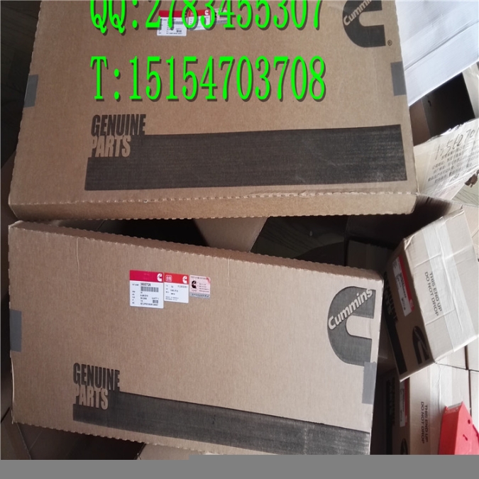 N14-350-390ESP2康明斯汽車發(fā)動機N14下修理包3800618