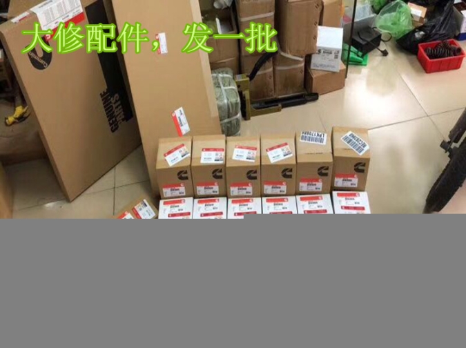 噴油器O型圈3867651（QSK噴油器密封圈3347937）4010577