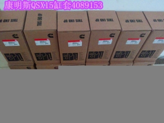 康明斯3064457（現(xiàn)貨89支）NTA855油嘴3071497