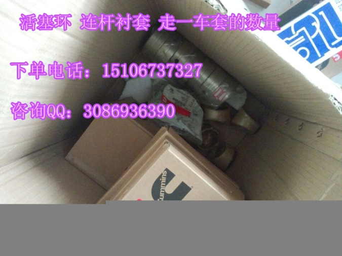 發(fā)電機(jī)皮帶3100141（QSX15機(jī)濾LF9070）2882673