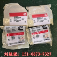 密封墊維修包4010888康明斯QSV墊圈3336259