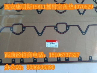 凸輪軸齒輪4953348（重康K19齒輪207248）現(xiàn)貨