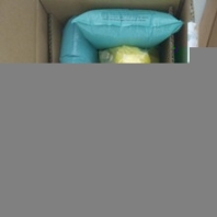 節(jié)溫器密封墊4066827（康明斯節(jié)溫器密封墊4066827）