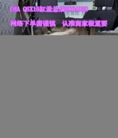 水泵4955705康明斯遼河石化配件供應(yīng)山東和晟