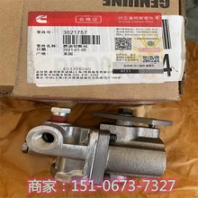 NTS35（35噸）噴油嘴4928346美國康明斯4087887