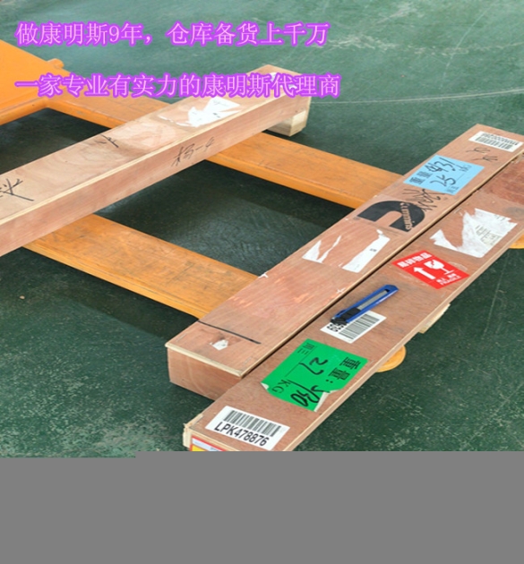 4024814機(jī)油泵4955954-康明斯ISX潤滑油泵2881757