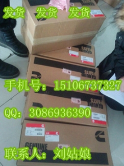 N14節(jié)溫器3076489（N14節(jié)溫器座3865122）