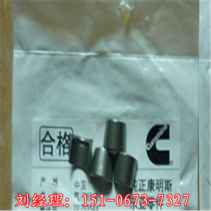 QSK19-C康明斯噴油器維修包F00BL0J020有貨供應(yīng)