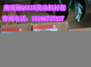 電磁閥4024808（12V）西康油泵電磁閥3408421