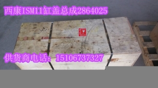 活塞4059900（現貨50件）重康M11活塞4059901