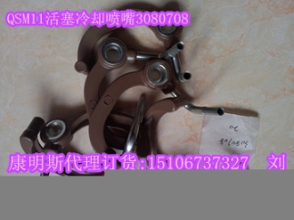 油泵3045281（康明斯PT泵）康明斯船用發(fā)電機(jī)組燃油泵