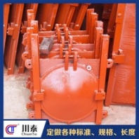 閘門大型閘門材質(zhì)