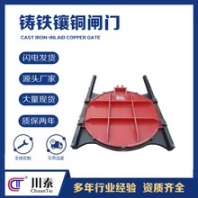 閘門(mén)貴州閘門(mén)代理