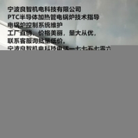 良智機電工廠直銷PTC半導(dǎo)體加熱管電鍋爐技術(shù)指導(dǎo)控制系統(tǒng)維護加熱整體方案設(shè)計