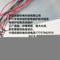 寧波良智機電科技在機械自動控制領(lǐng)域發(fā)展前景無限。PTC半導(dǎo)體加熱管電鍋爐技術(shù)指導(dǎo)