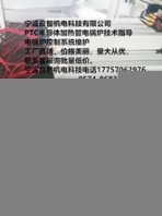 加熱技術(shù)支持寧波良智機(jī)電科技有限公司PTC半導(dǎo)體加熱管電鍋爐技術(shù)指導(dǎo)