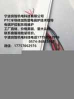 發(fā)熱只發(fā)熱、不發(fā)光寧波良智機(jī)電科技有限公司PTC半導(dǎo)體加熱管電鍋爐技術(shù)指導(dǎo)