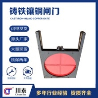 閘門云南鋼制閘門材質(zhì)