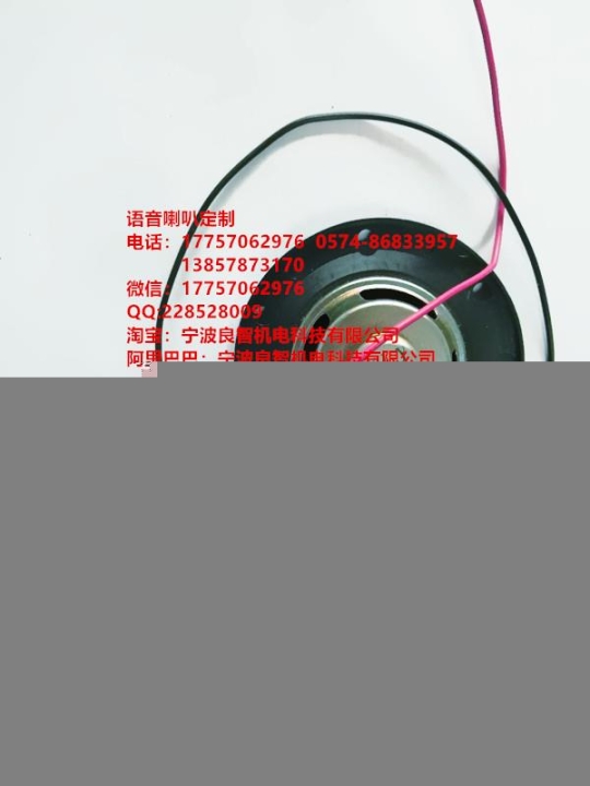 寧波良智科技報警器定制