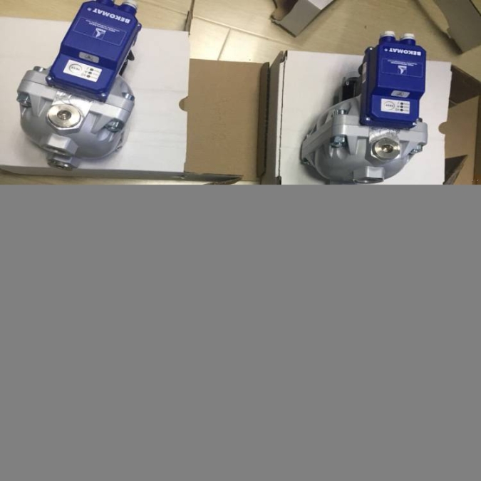BEKOMAT14價(jià)格BEKOMAT14CO價(jià)格BEKOMAT14COPN25電子液位排水器
