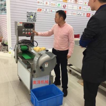 供應多功能切菜機丁絲片段切菜機全自動切丁切片切絲一體機
