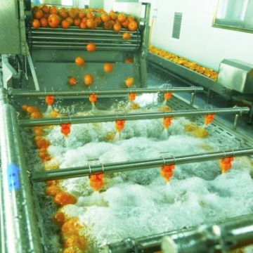 芒果加工設備 水果清洗機設備 果汁食品機械 水果加工成套流水線