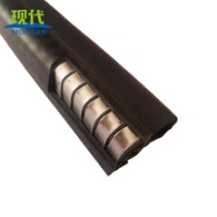 六盤(pán)水車(chē)門(mén)鋼帶復(fù)合密封條批發(fā)價(jià)格