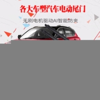 比亞迪唐宋MAX宋宋DM感應(yīng)后備箱雙桿六霍