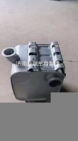 陜汽德龍消聲器國(guó)五國(guó)六三元催化器天然氣消聲器控制器價(jià)格圖片