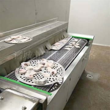 100KG隧道式速凍機(jī) 速凍水餃 速凍包子 專用隧道式速凍機(jī)