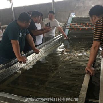 鼓浪式全自動果蔬清洗設(shè)備/蔬菜水果食品加工設(shè)備/廠家直銷/型號齊全